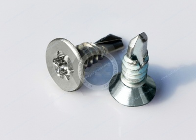 What is a slotted flat-head screw?cid=57