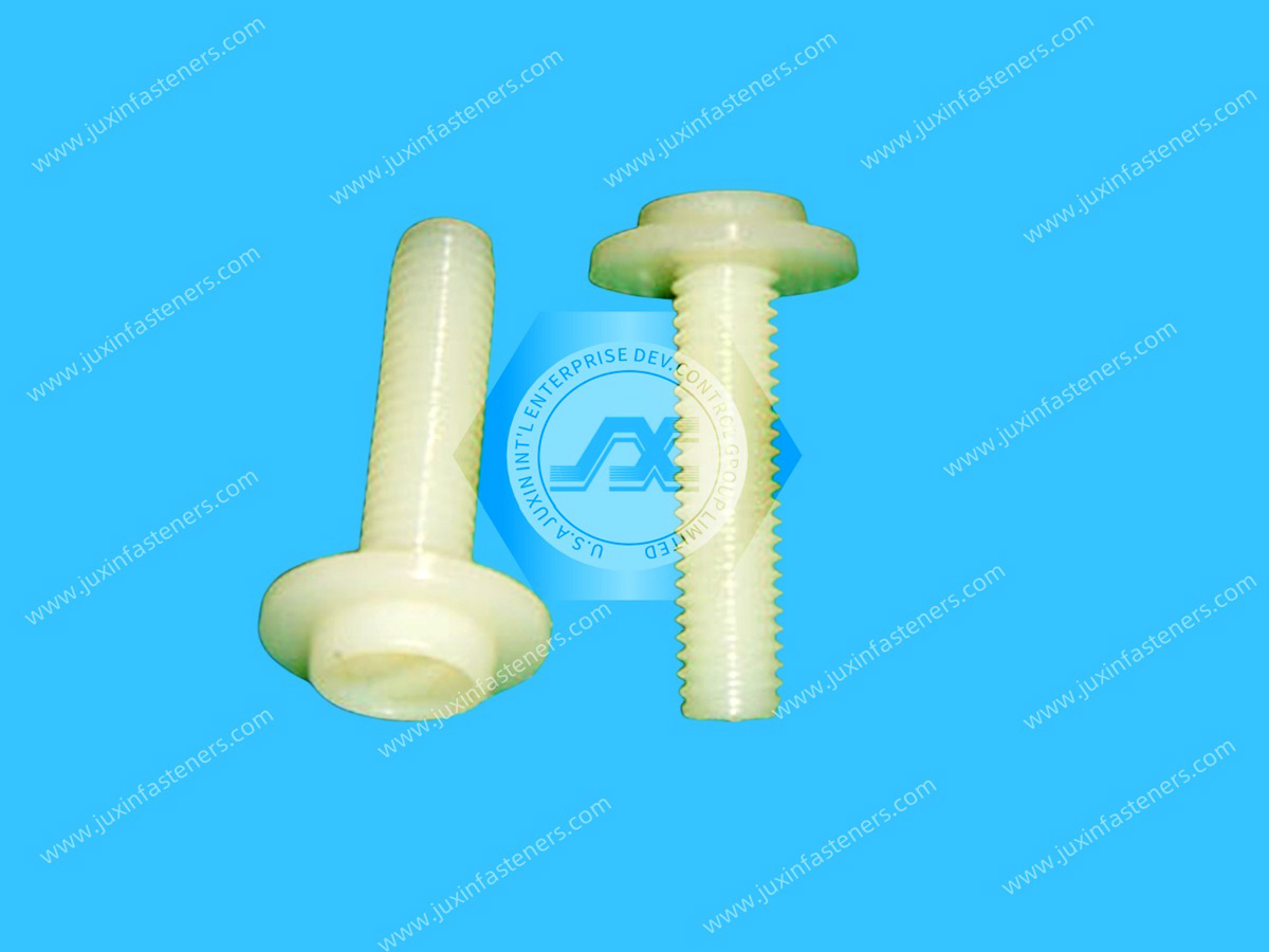 Nylon Slotted Washer Head Screw