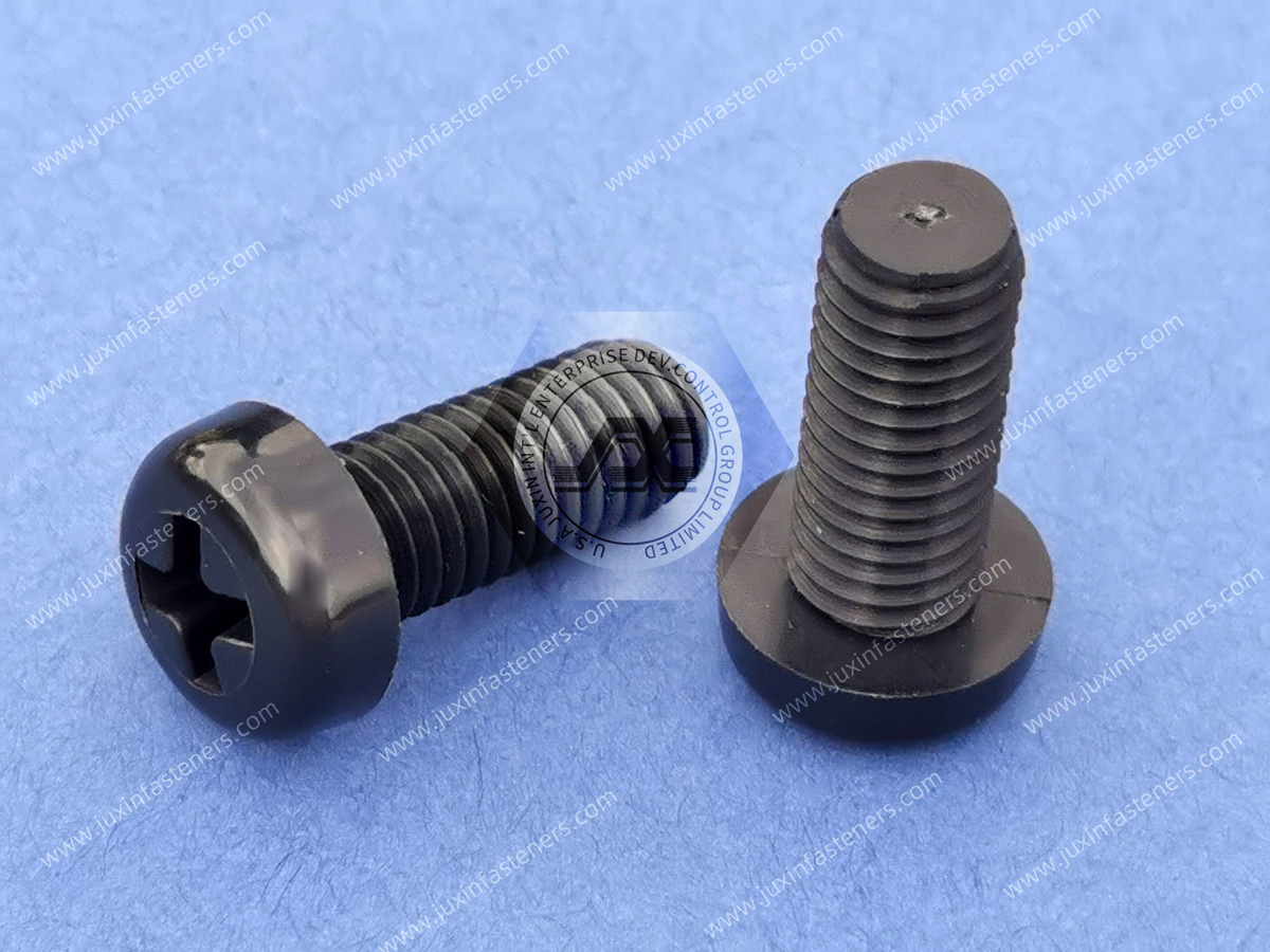 Black Nylon Pan Head Phillips Screws