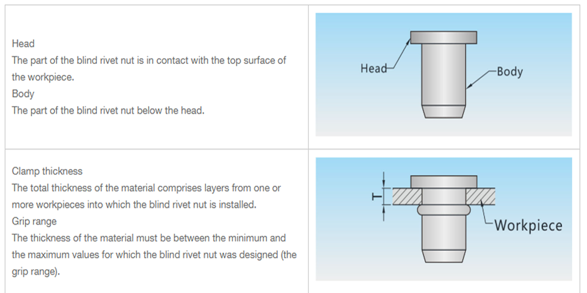 Blind Rivet Nuts and Studs