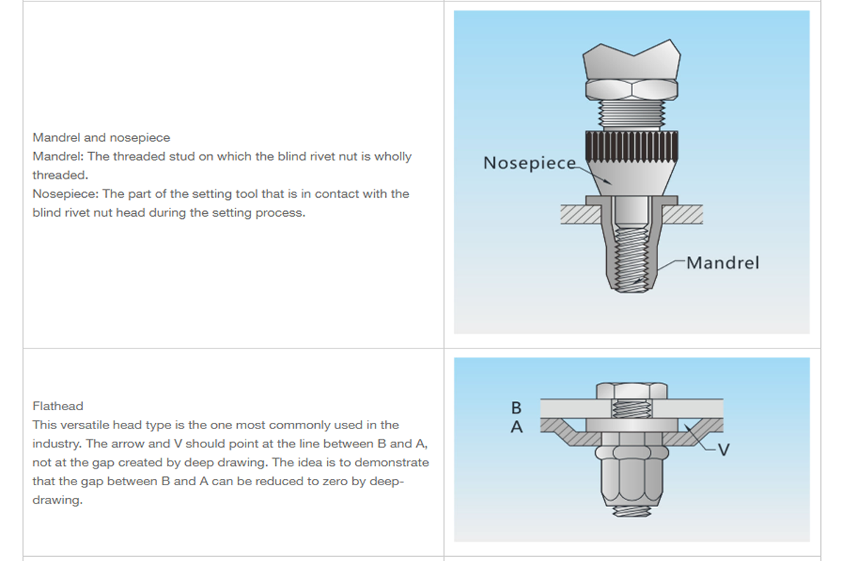 Blind Rivet Nuts and Studs