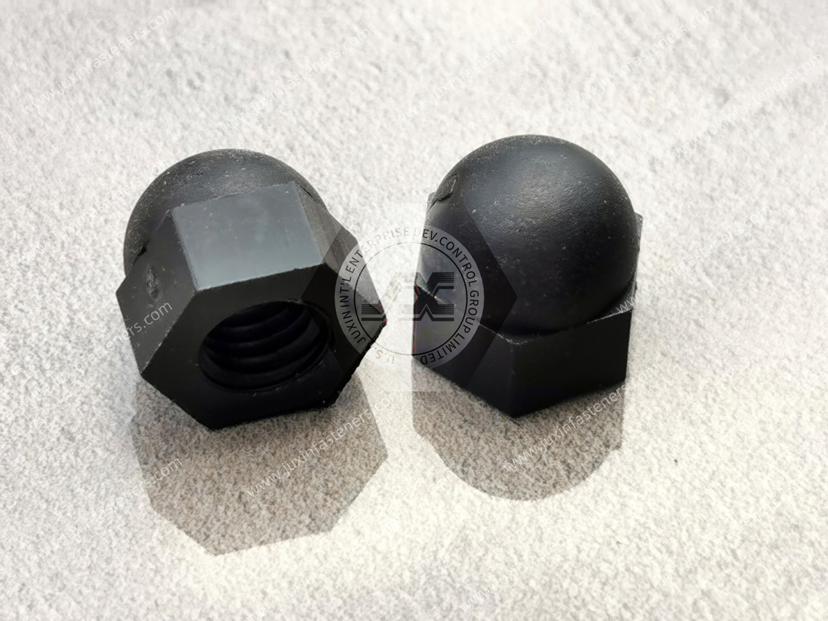 Plastic Cap Nuts Manufacturer | Nylon 6/6 Dome Nut Supplier Plastic Cap Nuts Manufacturer | Nylon 6/6 Dome Nut Supplier