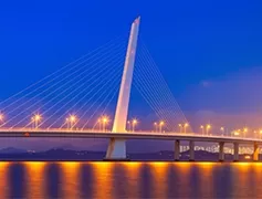 Domestic Appliances & Lighting