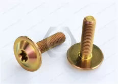Titanium alloy gold Round Washer Head with TORX PLUS Screw