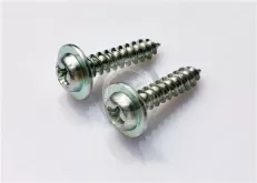 Carbon steel Rounded Head Screws with Washer for Sheet Metal