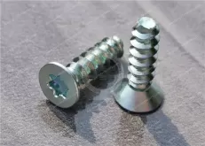 Steel Flat Head Thread-Forming Screws for Plastic F type
