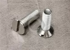 Stainless Steel Slotted Countersunk Head Screw