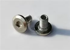Stainless Steel Low-Profile Socket Head Screws