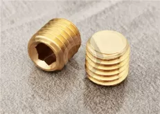 Brass Socket Pipe Plug - Taper Thread