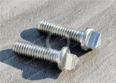 Stainless steel DIN 22424-1990 Electrical Apparatus For Potentially Explosive Atmospheres For Mining; Triangle Head Security Fasteners