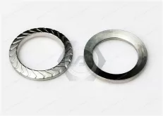 Lock washer Shape Z (for socket head screws / premounted) SKZ