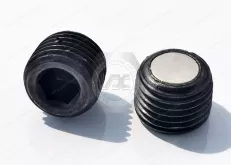 Carbon stee Q624 Hexagon Socket Pipe Magnetic Plugs