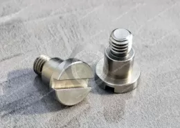 Slotted Pan Head Screws With Shoulder