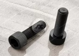 Black Nylon66  Socket Head Screws knurled head