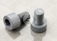 PVC Socket Head Screws