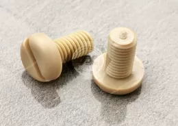 PEEK Pan Head Slotted Screws