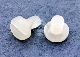 PVDF Pan Head Slotted Screws