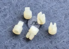 Nylon Screw Grommet nuts JX-GMSNE