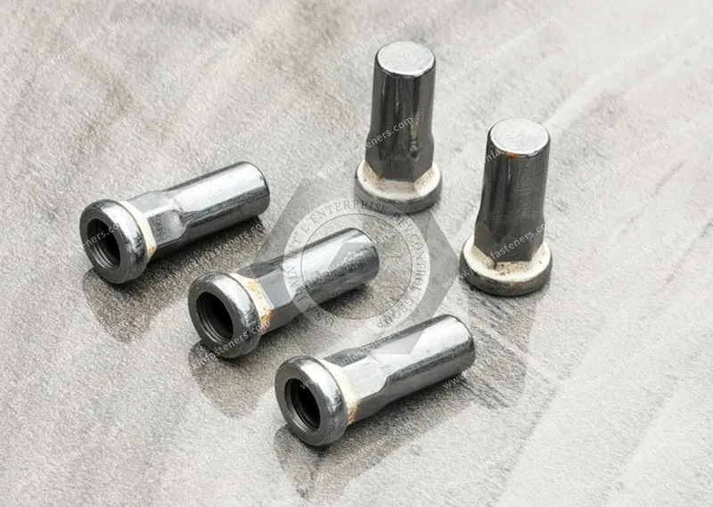 Blind Rivet Nuts in Electric Vehicle Battery Enclosures