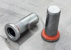 Automotive Large-Cap Head Blind Rivet Nuts