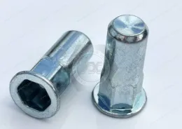 Industrial Blind Rivet Nuts for Machinery and Electronics