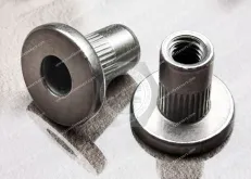 Automotive Large-Cap Head Blind Rivet Nuts