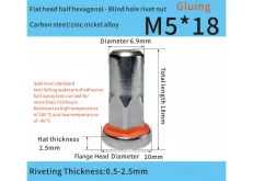 Adhesive-Sealed Flat Head Half-Hex Blind Rivet Nut M5 x 18 – Automotive Grade