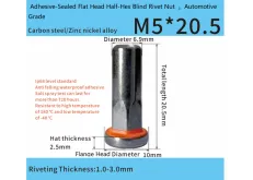 Adhesive-Sealed Flat Head Half-Hex Blind Rivet Nut M5 x 20.5 – Automotive Grade