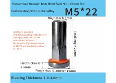 Adhesive-Sealed Flat Head Part-Hex Blind Rivet Nut – Automotive Grade  M5 x 22mm