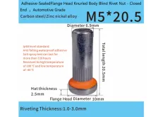 Adhesive-SealedFlange Head Knurled Body Blind Rivet Nut M5 x 20.5mm - Closed End – Automotive Grade