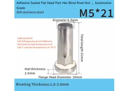 Stainless Steel Adhesive-Sealed Flat Head Part-Hex Blind Rivet Nut – Automotive Grade