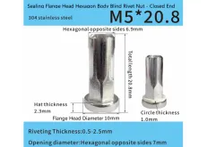 Adhesive-White Sealed Flat Head Part-Hex Blind Rivet Nut