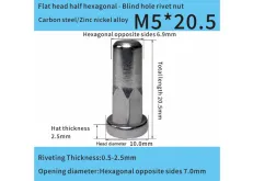 Steel Adhesive-Sealed Flat Head Half-Hex Blind Rivet Nut