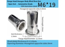 Stainless Steel M6x 19 Open-End Flat Head Part-Hex Rivet Nut – Automotive Grade