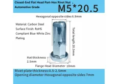 Close-End Flat Head Part-Hex Rivet Nut – Automotive Grade