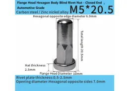 Steel Flange Head Hexagon Body Blind Rivet Nut - Closed End – Automotive Grade