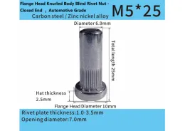 Flange Head Knurled Body Blind Rivet Nut - Closed End – Automotive Grade