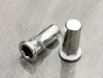IP58 Sealed Waterproof Rivet Nuts and Fasteners for New Energy Vehicle Applications